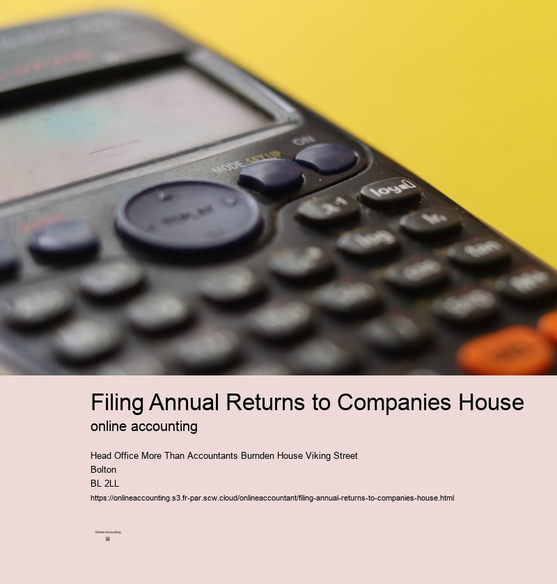 Filing Annual Returns to Companies House