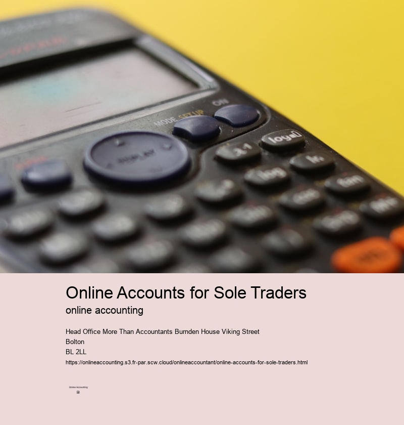 Online Accounts for Sole Traders