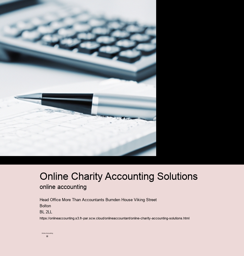 Online Charity Accounting Solutions