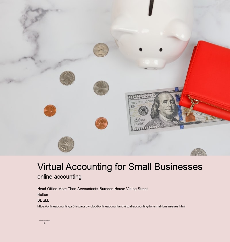 Virtual Accounting for Small Businesses