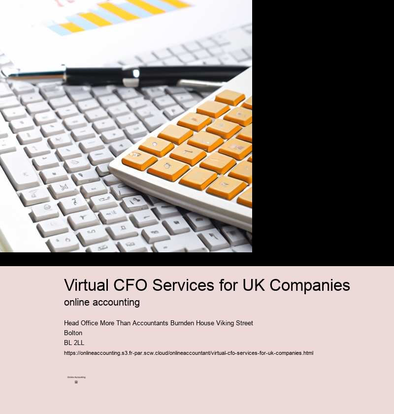 Virtual CFO Services for UK Companies
