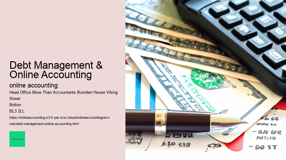 Debt Management & Online Accounting